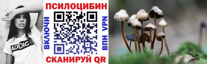 KRAKEN ССЫЛКА Новосибирск Псилоцибиновые грибы Magic Shrooms