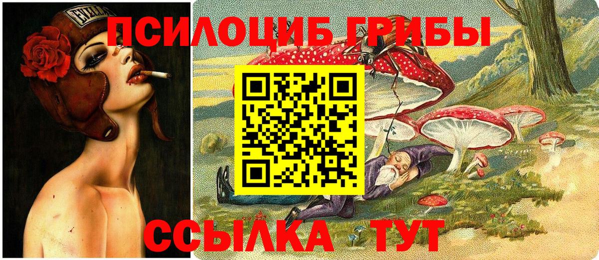 Псилоцибиновые грибы мухоморы  Новосибирск 