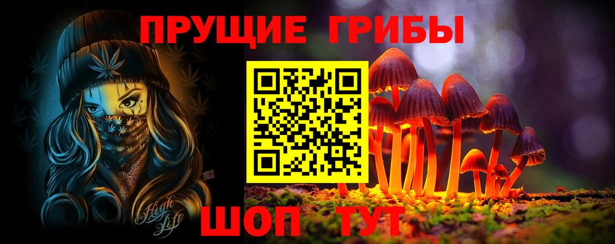 Псилоцибиновые грибы прущие грибы Новосибирск