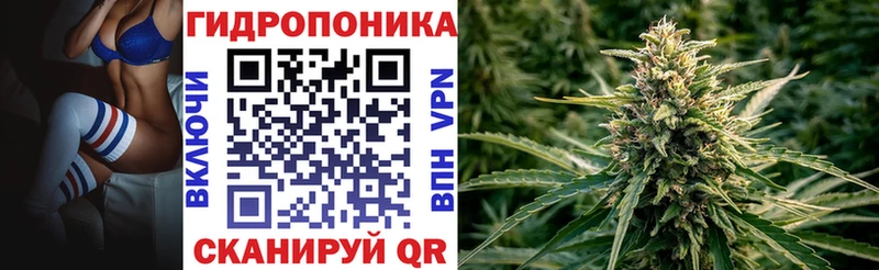 Марихуана планчик  ссылка на мегу рабочий сайт  Новосибирск 